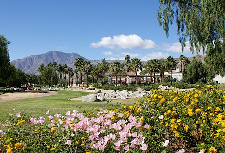 PGA West putting green